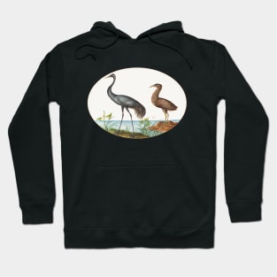 Crane and Bittern (1575–1580) Hoodie